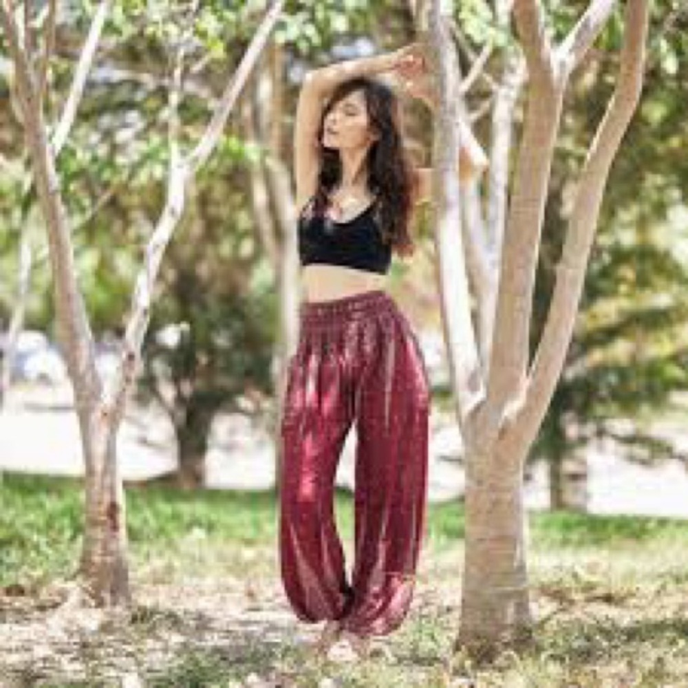 Flowy Wide-Leg Harem Pants in Deep Wine 646